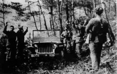 ë��̸����Ԯ�������һȭ������ð�ȭ��